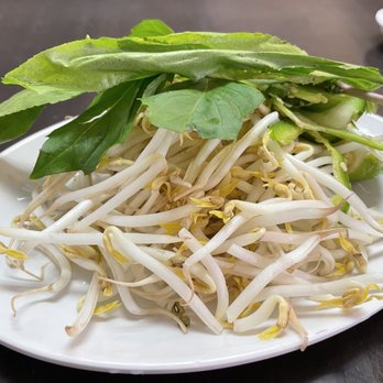 Pho Ga Thanh Thanh - a plate of sprouts and lettuce - Vietnamese Near Me - Philadelphia, Pennsylvania Pho Ga Thanh Thanh - a plate of sprouts and lettuce - Vietnamese Near Me - Philadelphia, Pennsylvania