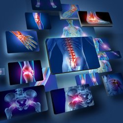 Ekren Physical Therapy Services - We specialize in all parts of the body.