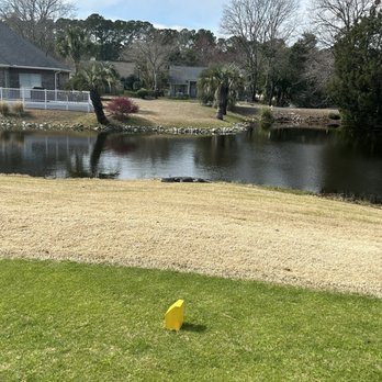 River Club - Gator and tee box - Golf Near Me - Pawleys Island, South Carolina River Club - Gator and tee box - Golf Near Me - Pawleys Island, South Carolina