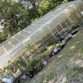 Willow Oak Flower & Herb Farm - Flowers & Gifts Near Me - Severn, Maryland Willow Oak Flower & Herb Farm - Flowers & Gifts Near Me - Severn, Maryland
