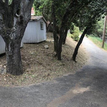 Lopez & Sons Tree Service and Landscaping - a tree lined driveway - Tree Services Near Me - Salinas, California