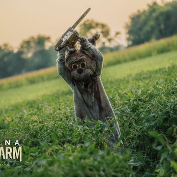 Indiana Fear Farm - Our beloved & mischievous Bad Bunny - Haunted Houses Near Me - Jamestown, Indiana Indiana Fear Farm - Our beloved & mischievous Bad Bunny - Haunted Houses Near Me - Jamestown, Indiana