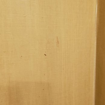 Wyndham Garden Ann Arbor - Blood, poop, mold or dirt? It's another mystery! - Hotels Near Me - Ann Arbor, Michigan Wyndham Garden Ann Arbor - Blood, poop, mold or dirt? It's another mystery! - Hotels Near Me - Ann Arbor, Michigan