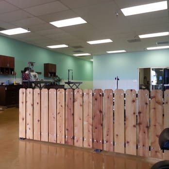 Scruffy To Fluffy - Such a fun place for dog grooming!  Love their front room! - Pet Groomers Near Me - Tucson, Arizona