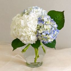 Melli Saint Fleur