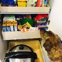 Photo of Shelf Genie