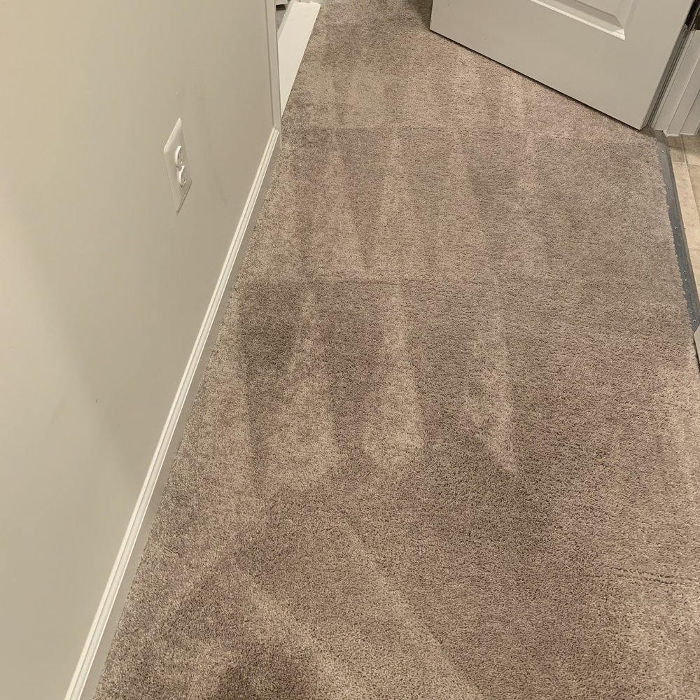 Cliff Carpet Cleaning - You can't see the blue laundry detergent on the carpet anymore! Thank you, Cliff! - Carpet Cleaning Near Me Cliff Carpet Cleaning - You can't see the blue laundry detergent on the carpet anymore! Thank you, Cliff! - Carpet Cleaning Near Me