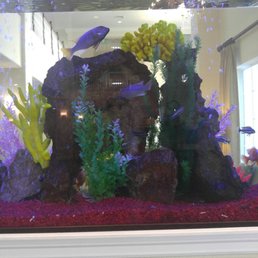 Fish tank when you walk in.