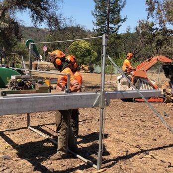 Signature Tree Solutions - Tree Services Near Me - Benicia, California Signature Tree Solutions - Tree Services Near Me - Benicia, California