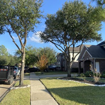 Lumberjack Pros - West Houston - Tree Services Near Me Lumberjack Pros - West Houston - Tree Services Near Me