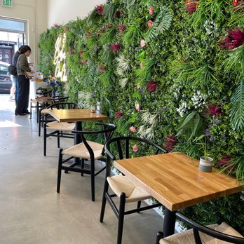BoBa ChaCha Pasadena - Inside of the store, greenery wall for photos! - Coffee & Tea Near Me - Pasadena, California BoBa ChaCha Pasadena - Inside of the store, greenery wall for photos! - Coffee & Tea Near Me - Pasadena, California