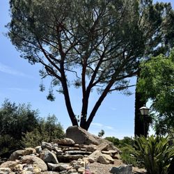 San Diego Pond and Garden - Waterfall