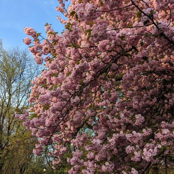 Riverside Park - Parks Near Me