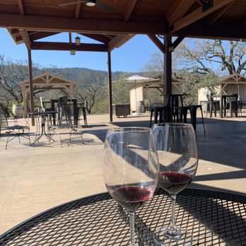 B.R. Cohn Winery - View from the tasting area - Wineries Near Me - Glen Ellen, California