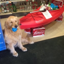 Huntington Liquor Store - Meet Watson!