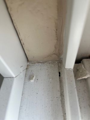 Andersen Windows by null