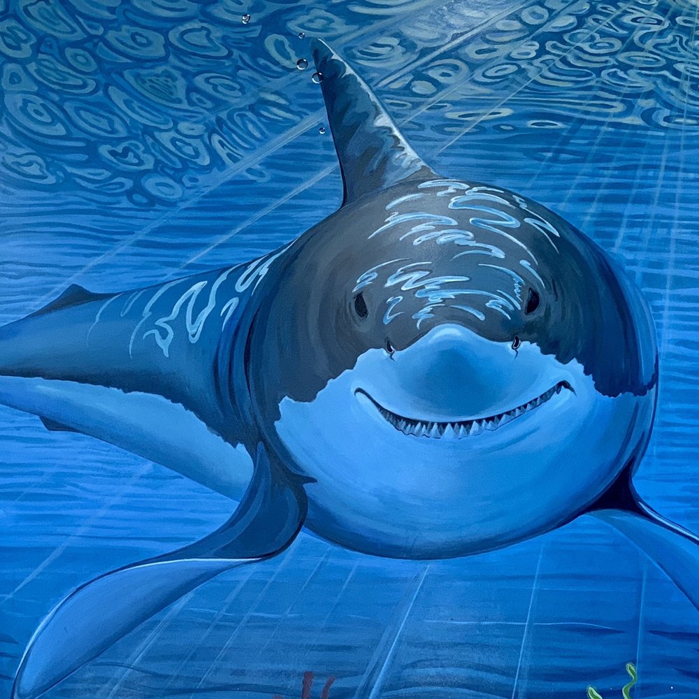 Sharks Burger - Wall art - Burgers Near Me - Leander, Texas Sharks Burger - Wall art - Burgers Near Me - Leander, Texas