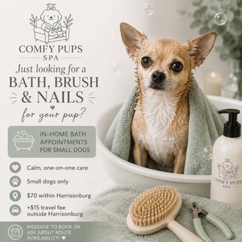 Comfy Pups Spa - Pet Groomers Near Me Comfy Pups Spa - Pet Groomers Near Me