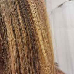 The Hair Studio - Different shades of yellow