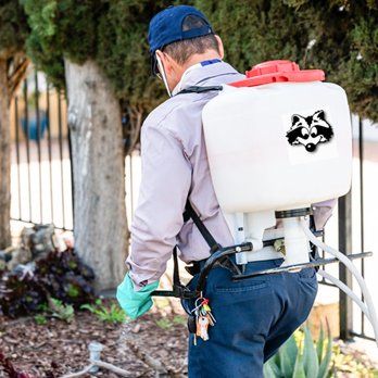 Speedy's Pest Solutions - Pest Control You Can Trust - Pest Control Near Me Speedy's Pest Solutions - Pest Control You Can Trust - Pest Control Near Me