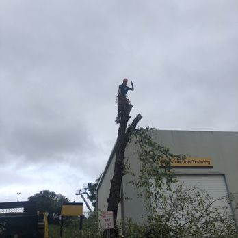 The Greenscapers - Professional service you can count on - Tree Services Near Me The Greenscapers - Professional service you can count on - Tree Services Near Me
