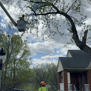 CR TREE SERVICE - Tree Services Near Me - Independence, Missouri CR TREE SERVICE - Tree Services Near Me - Independence, Missouri