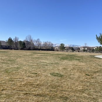 Pelican Park - Grassy area. - Parks Near Me - Sparks, Nevada