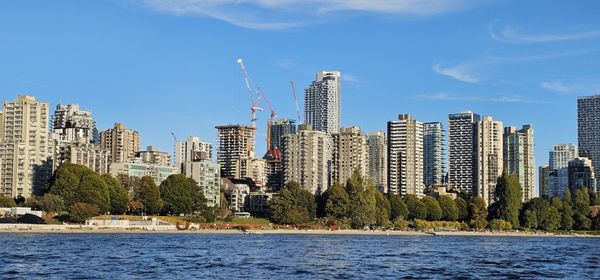 Prince of Whales - Whale & Marine Wildlife Adventures Vancouver by null