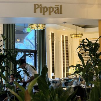 Pippal - Indian Near Me - Dublin, California Pippal - Indian Near Me - Dublin, California
