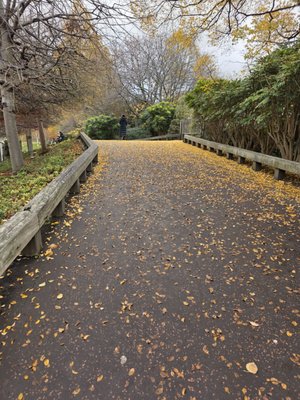Princes Street Gardens by null