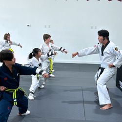 Team Kim’s World Taekwondo