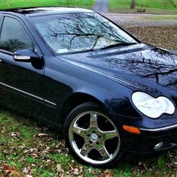 Woodys Detail