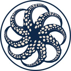 Octopus Pool Service