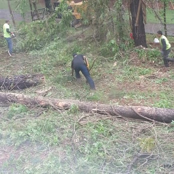 Brown's Tree Service & Todd Jeffery's - It had just rained but they still came to cut my trees. - Tree Services Near Me - Newnan, Georgia Brown's Tree Service & Todd Jeffery's - It had just rained but they still came to cut my trees. - Tree Services Near Me - Newnan, Georgia