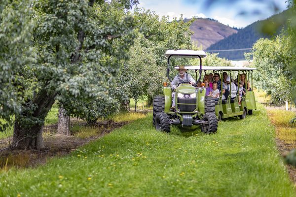 The Fruit Company - Factory Experience by null