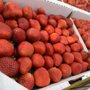 Photo of Santiago's Fruit Stand
