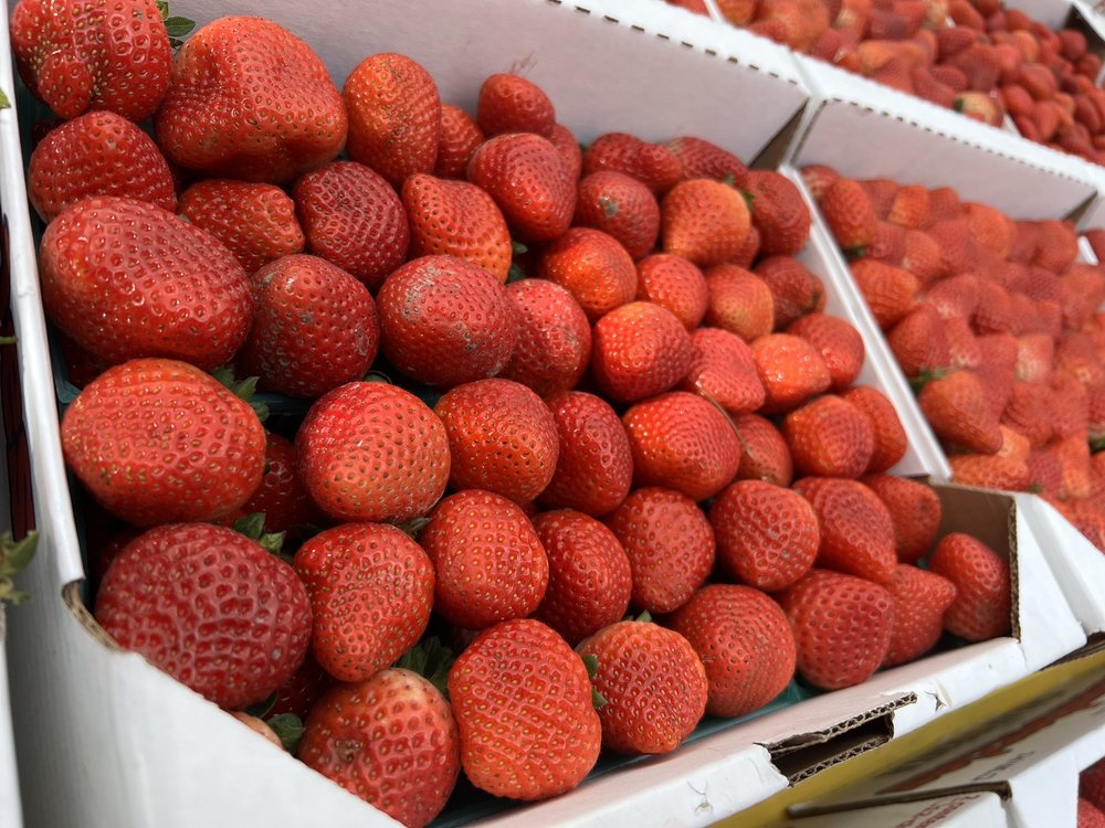 Santiago's Fruit Stand - beekeeping in Ventura, CA