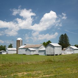 Pitney Meadows Community Farm