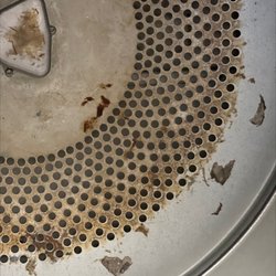 Powell Avenue Laundry - What is growing in here?
