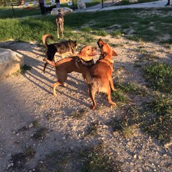 Universal City Dog Park