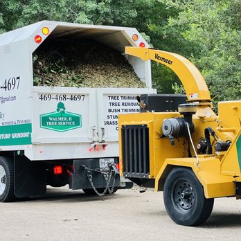 Walmer H Tree Service - Dump truck - Tree Services Near Me