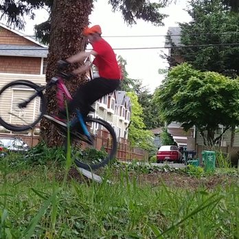 Ride Bicycles - Issaquah - Bike Rentals Near Me - Issaquah, Washington