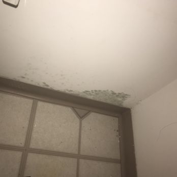 Northgate Apartments - Mold on my walls in kitchen - Apartments Near Me - Waukegan, Illinois Northgate Apartments - Mold on my walls in kitchen - Apartments Near Me - Waukegan, Illinois