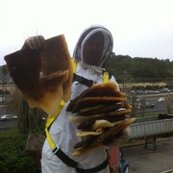 Marin Coastal Bee Co - Bee Rescue and Removal