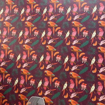 Parakeet Cafe - Coronado - Parakeet wall - Coffee & Tea Near Me - Coronado, California Parakeet Cafe - Coronado - Parakeet wall - Coffee & Tea Near Me - Coronado, California