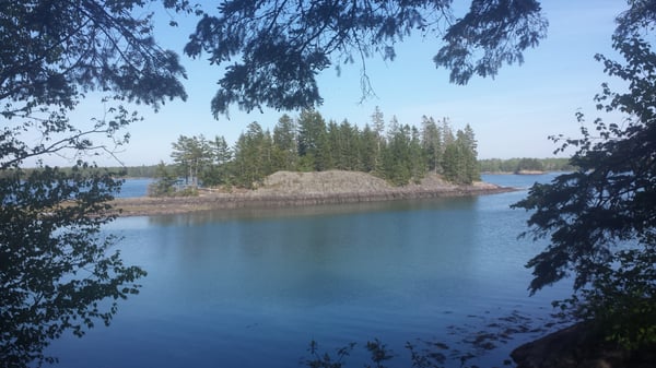 Cobscook Bay State Park by null