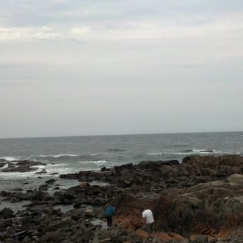 Marginal Way Preservation Fund - Community Service/Non-Profit Near Me - Ogunquit, Maine