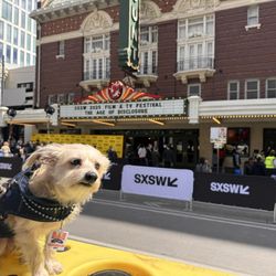 SXSW Festival