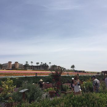 The Flower Fields - Venues & Event Spaces Near Me - Carlsbad, California