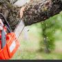 Photo of Mark Tree Trimming